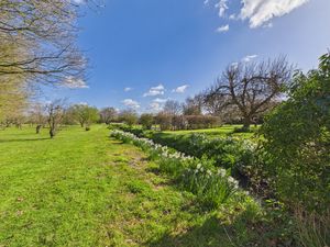 Land to the Rear- click for photo gallery